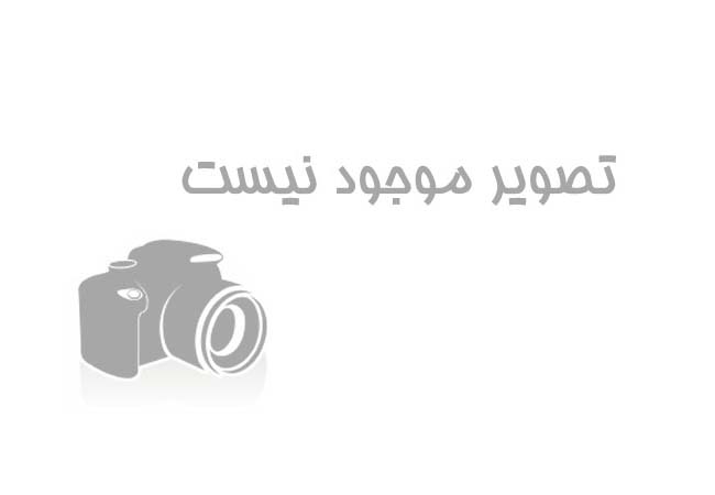 مسئول واحد EDO